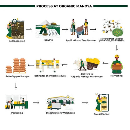 Organic Mandya Eucalyptus Oil - 100 ml