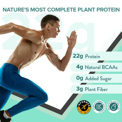 Wellbeing Nutrition Superfood Plant Protein-French Vanilla Caramel - 500 gm