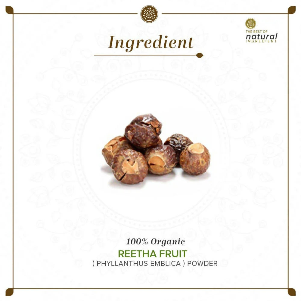 Khadi Natural Organic Reetha Fruit Powder - 100 gm