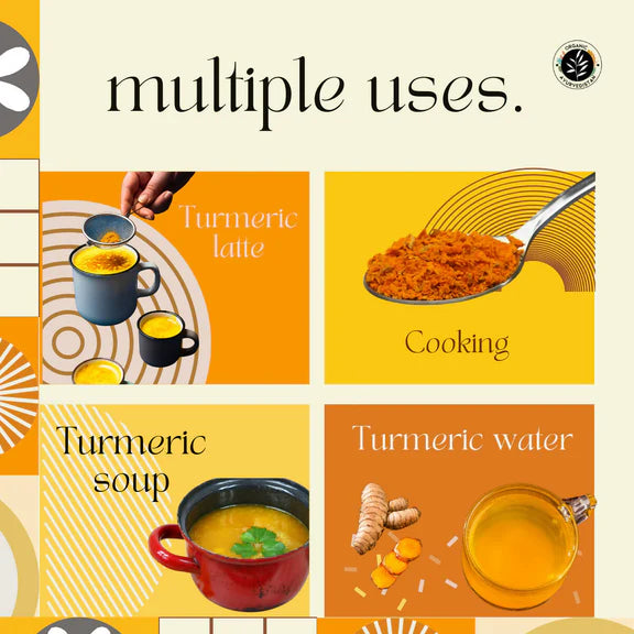 Organic Ayurvedistan Turmeric Powder - 400 gm