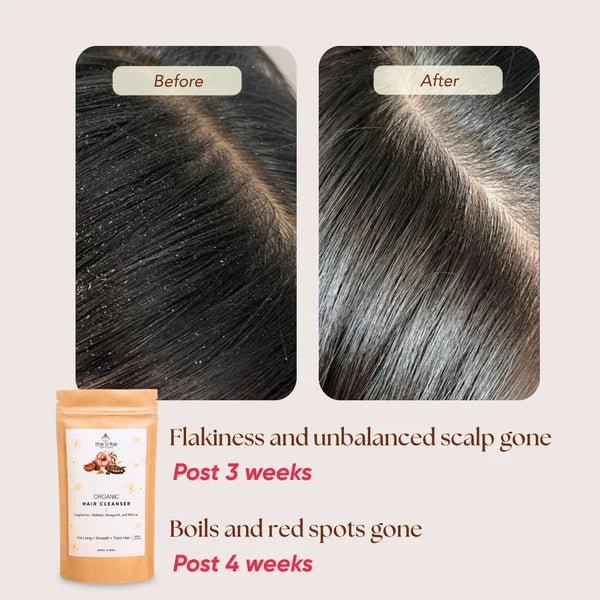Organic Hair Cleanser - Natural Powdered Shikakai, Amla, Hibiscus Shampoo